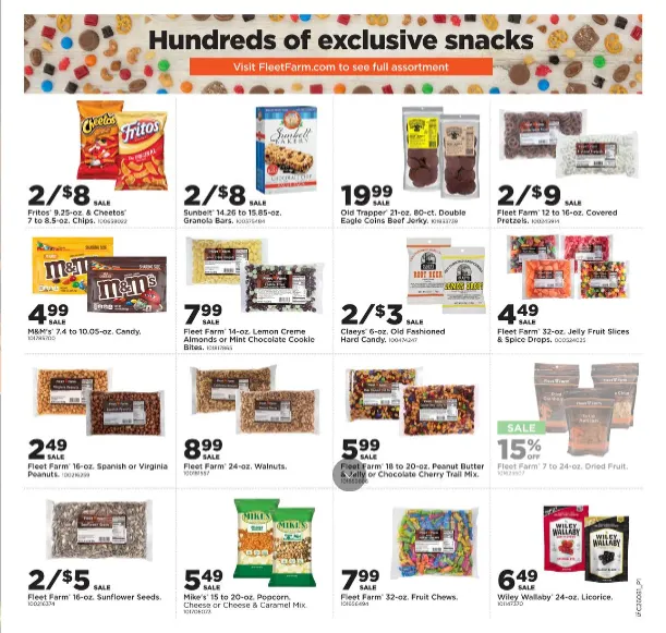 Weekly ad Fleet Farm Sales from February 16 to February 22 2026 - Page 16