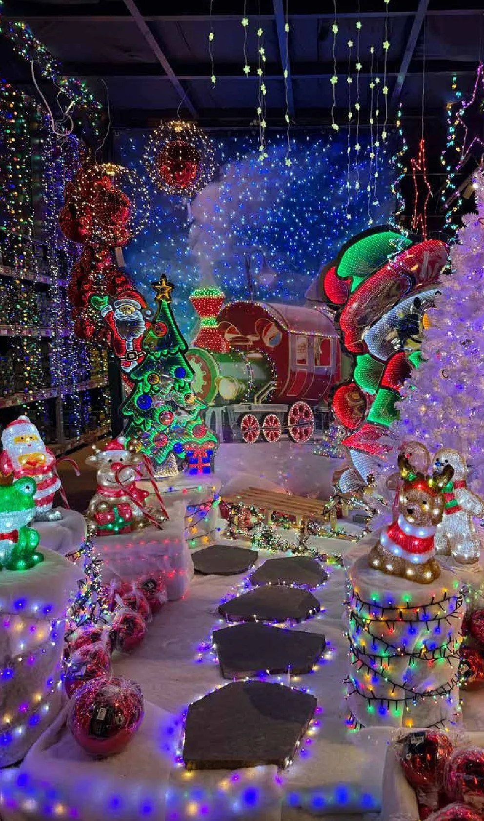 Pflanzen-Kölle Angebote von 11. November bis 25. Dezember 2025 - Prospekt seite 16