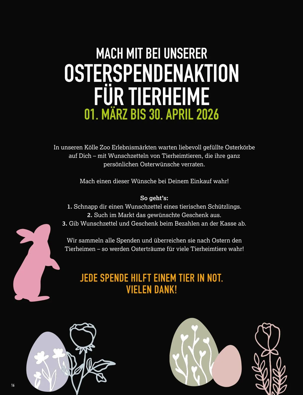Kölle Zoo Prospekte von 26. Februar bis 4. März 2026 - Prospekt seite 16