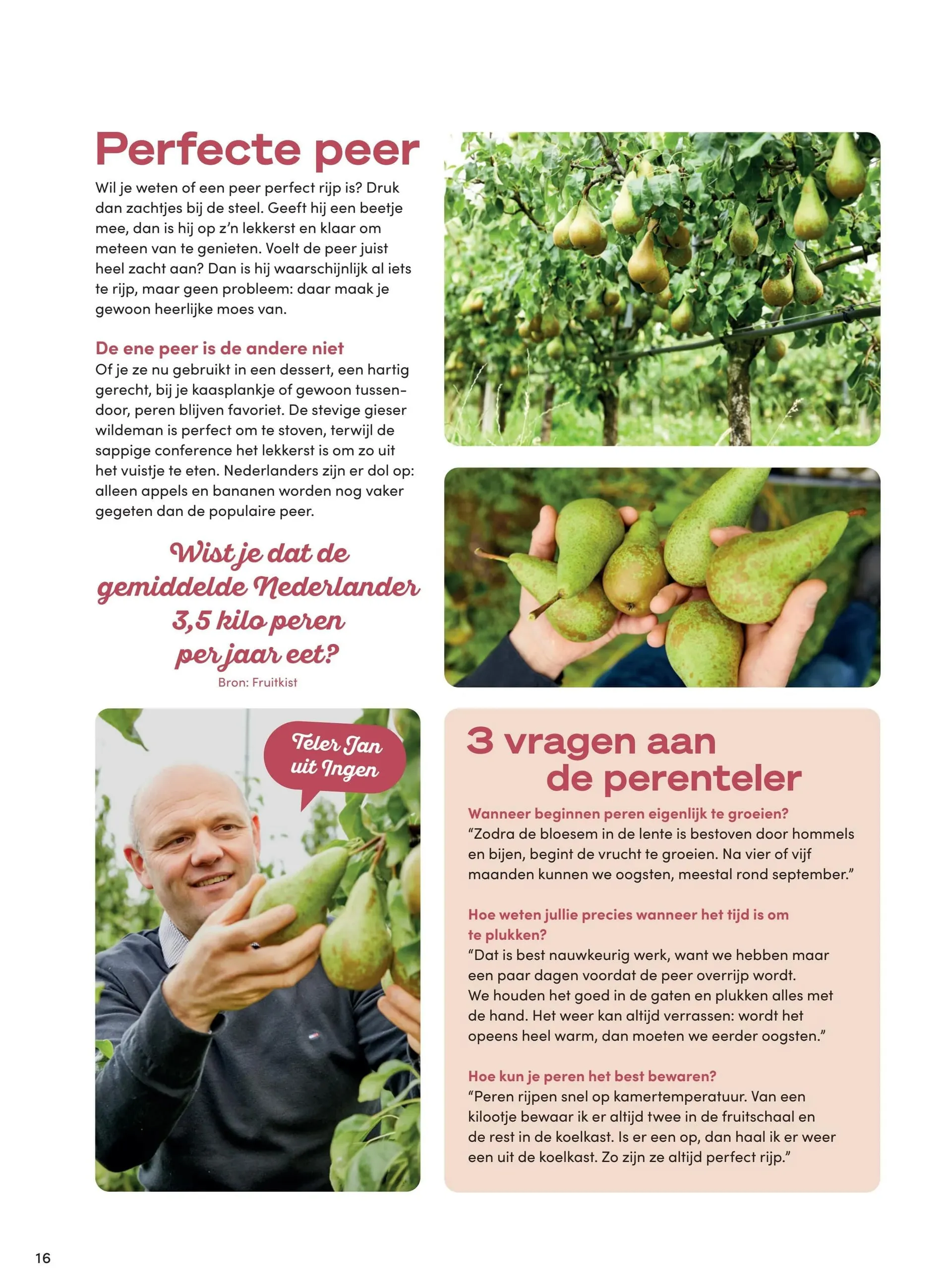 Boodschappen Folder van 2 december tot 31 december 2025 - Folder pagina 31