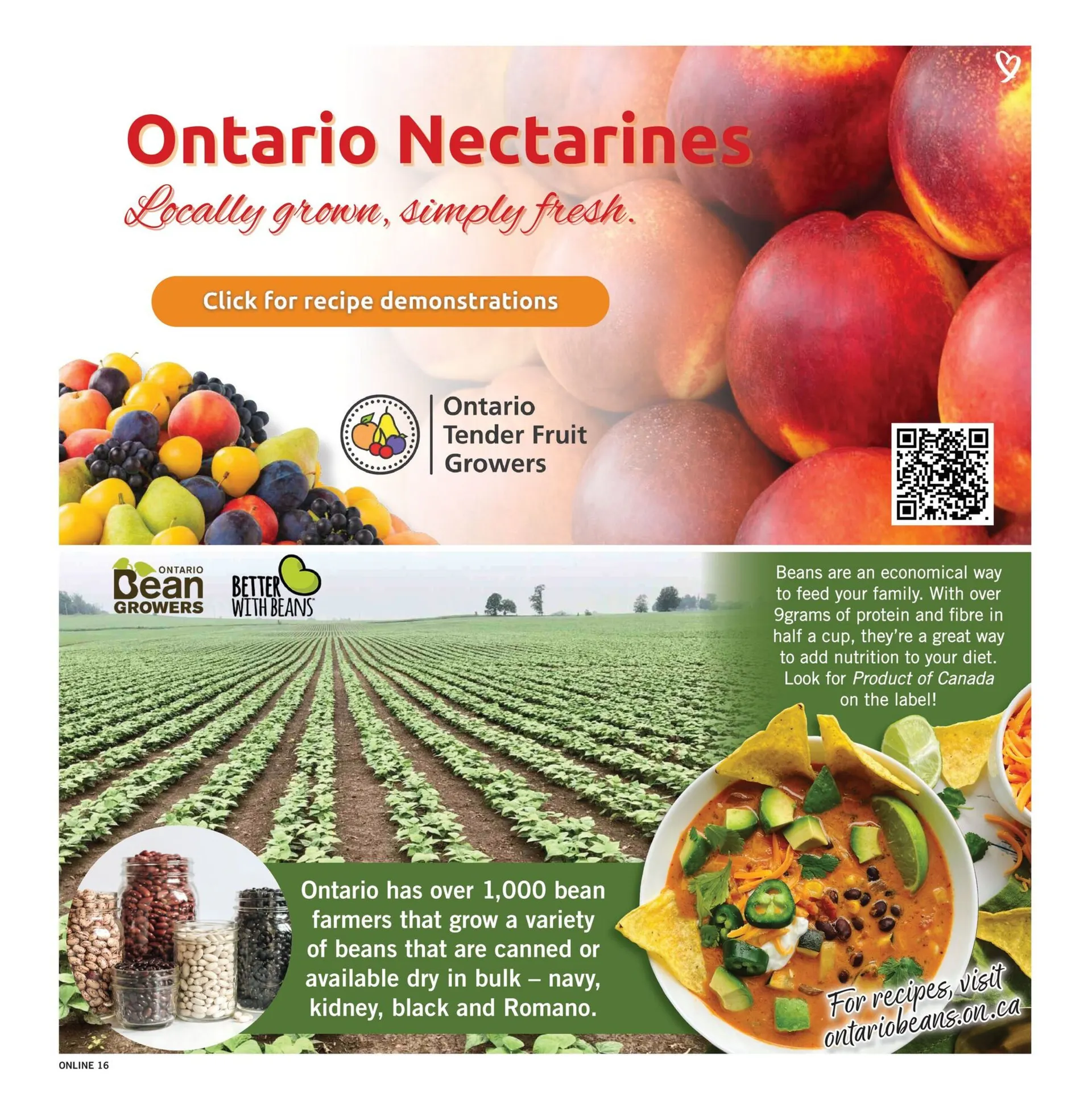 Fortinos Sales from July 31 to August 6 2025 - flyer page 16