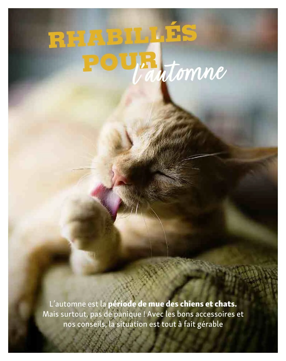 Maxi ZOO Catalogue du 23 décembre au 31 décembre 2025 - Catalogue page 16