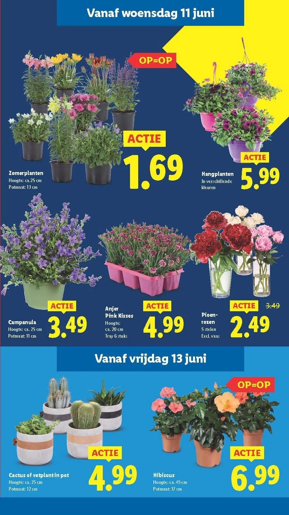 Lidl folders van 10 juni tot 15 juni 2025 - Folder pagina 16