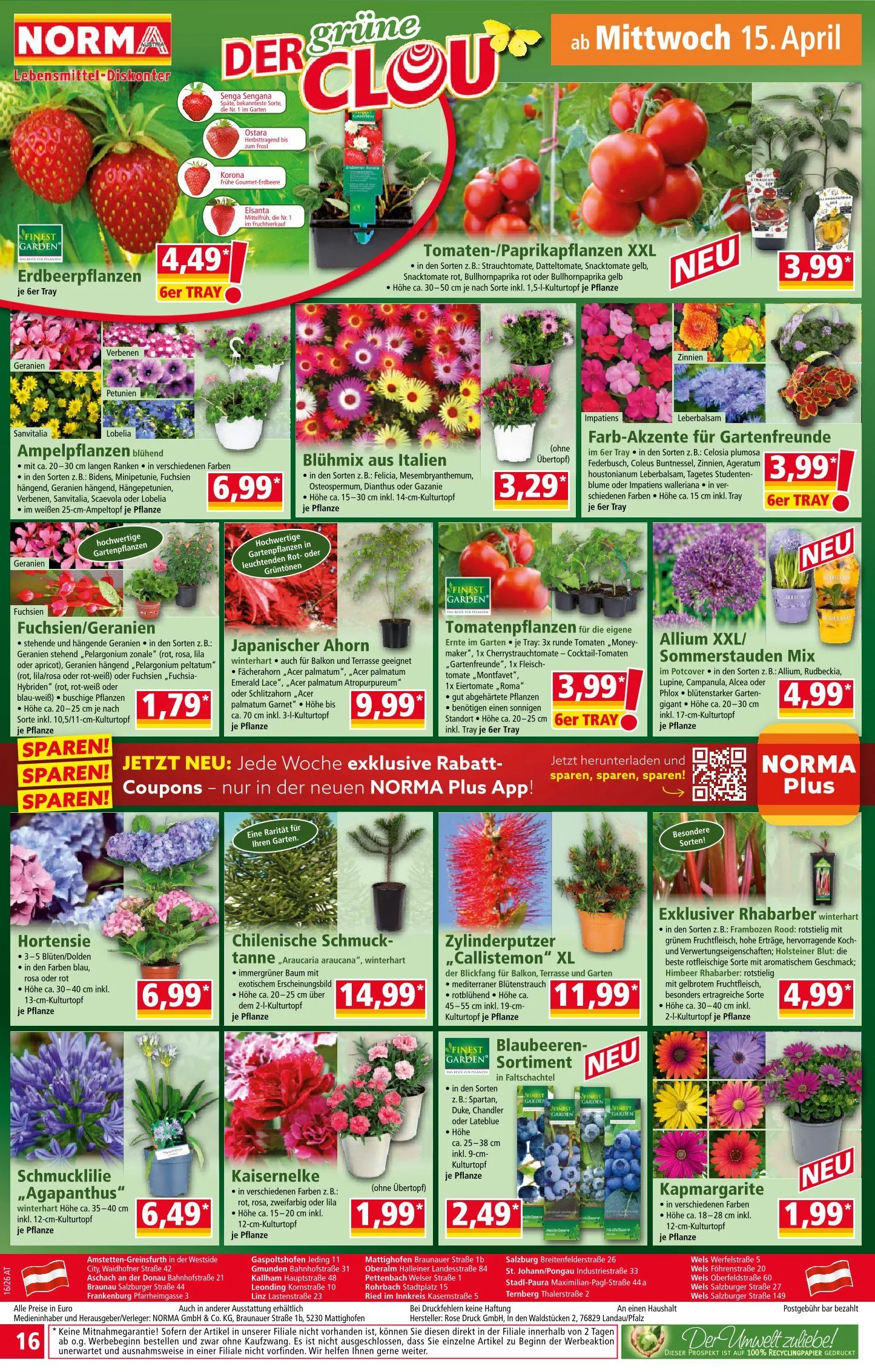 Norma Prospekte von 8. April bis 13. April 2026 - Flugblätt seite 16