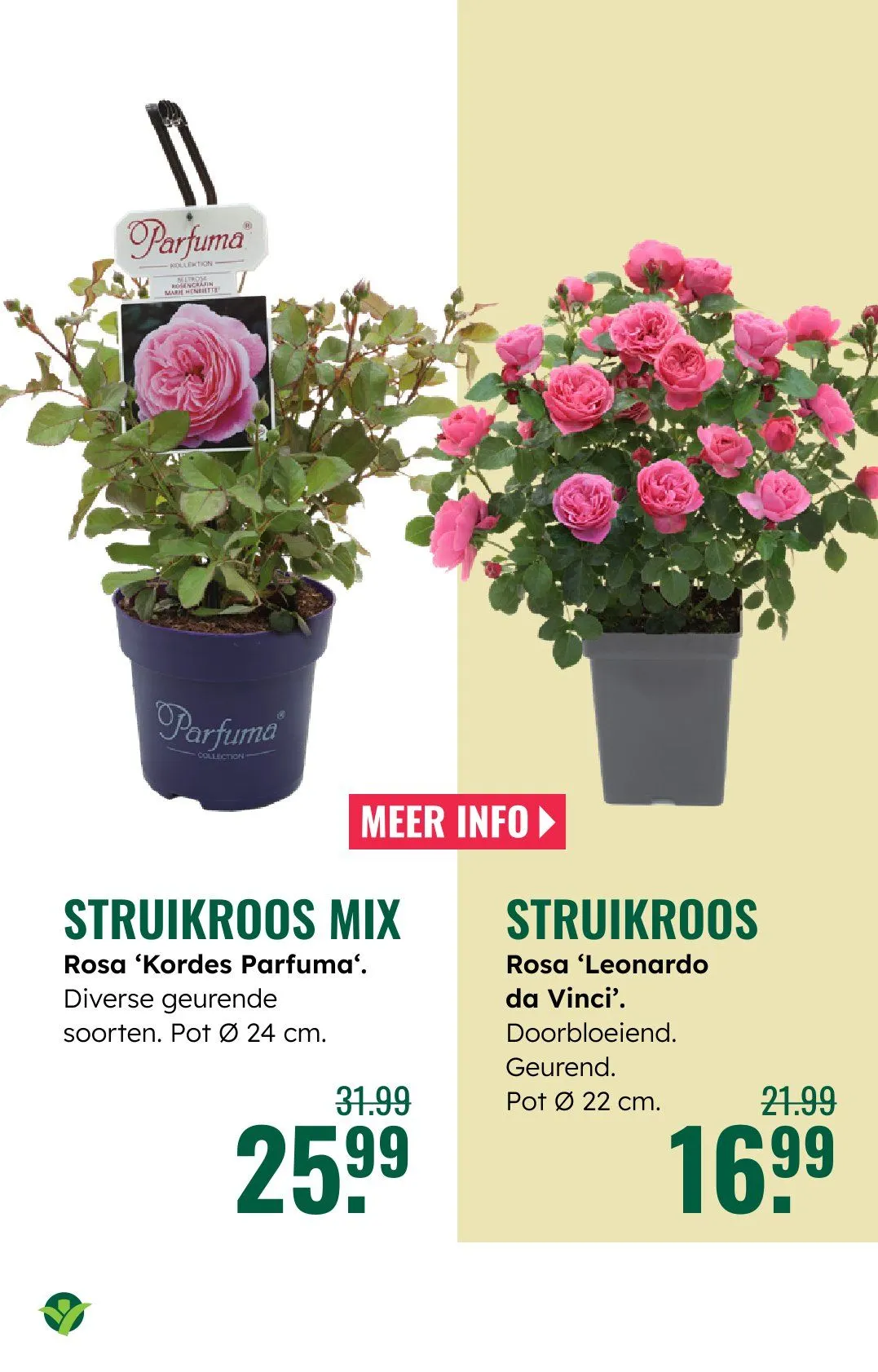  GroenRijk folders van 21 mei tot 27 mei 2026 - Folder pagina 16