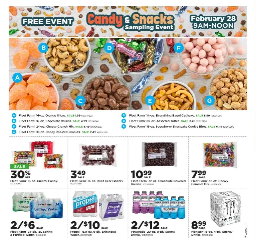 Weekly ad Fleet Farm Sales from February 23 to March 1 2026 - Page 16