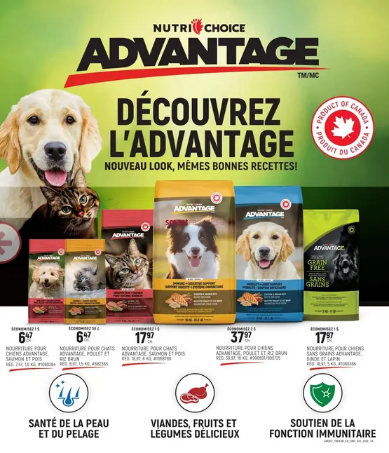 Giant Tiger Sales from September 17 to September 23 2025 - flyer page 16