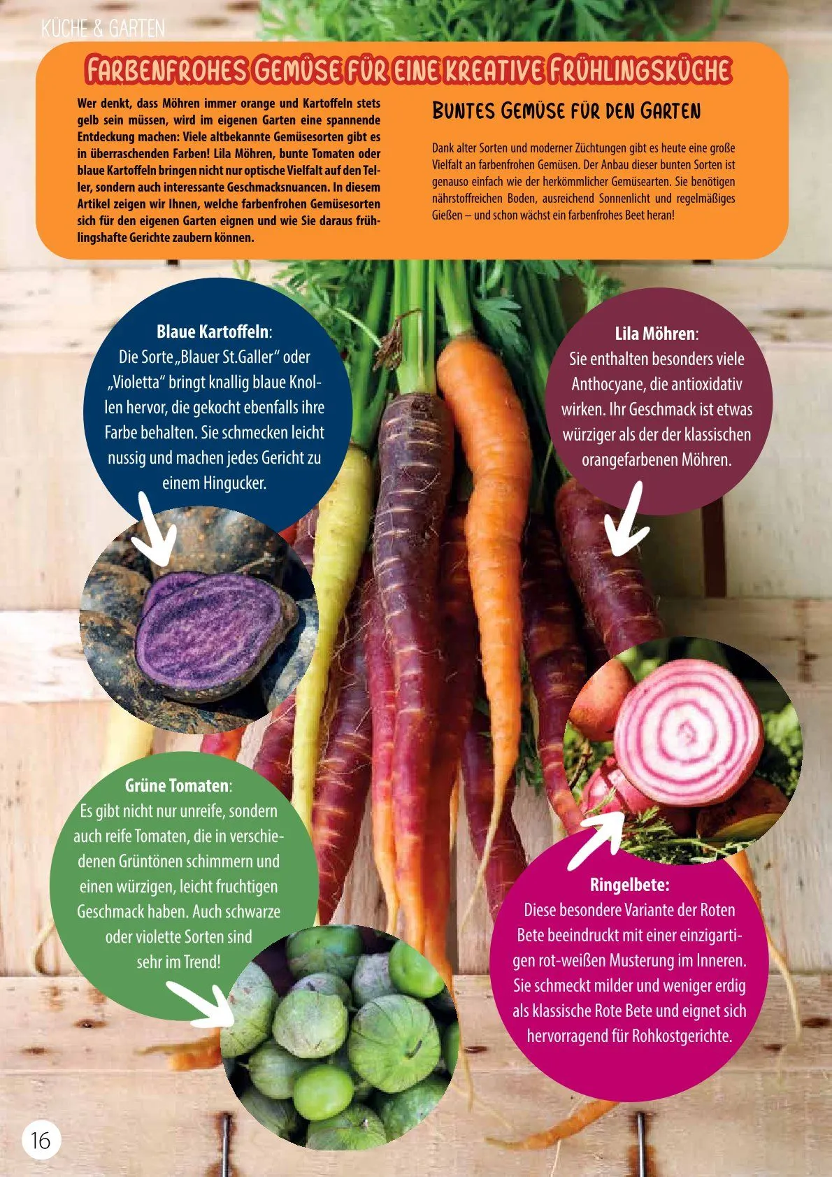 Kiebitzmarkt Magazine von 21. Februar bis 15. Februar 2025 - Prospekt seite 16