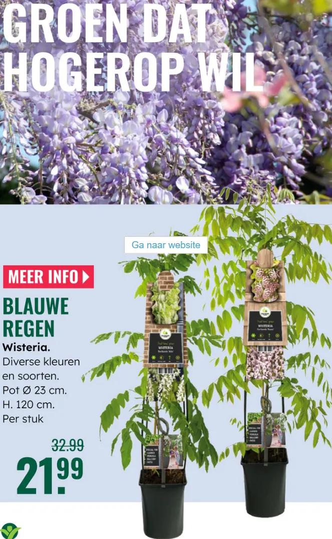 GroenRijk folders van 7 mei tot 13 mei 2026 - Folder pagina 16