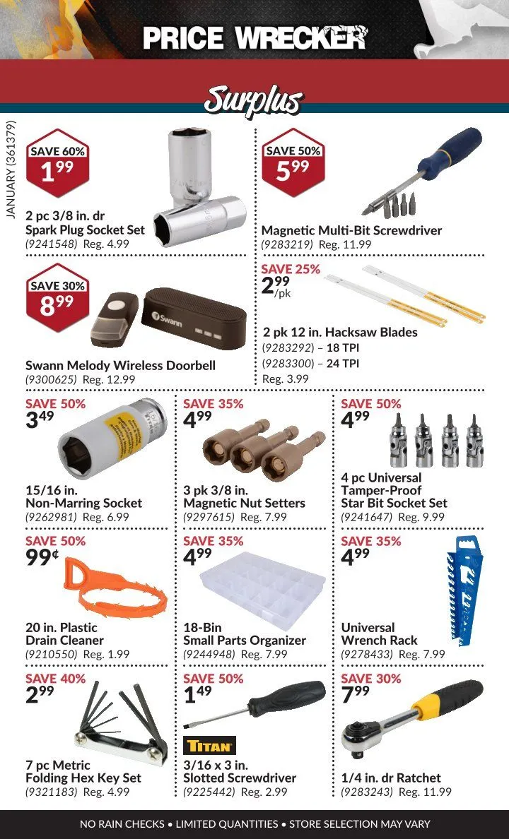 Princess Auto Sales from February 1 to January 31 2025 - flyer page 16