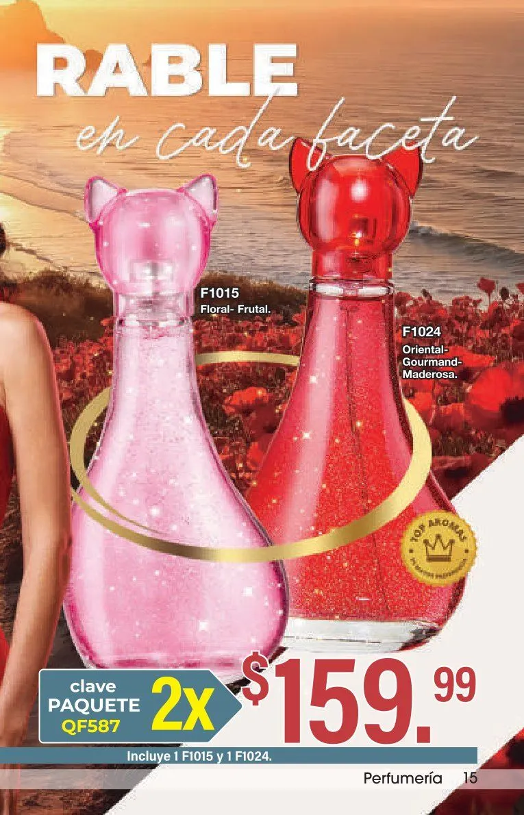 Catálogo de Arabela catálogos y ofertas 3 de marzo al 31 de marzo 2026 - Pagina 17