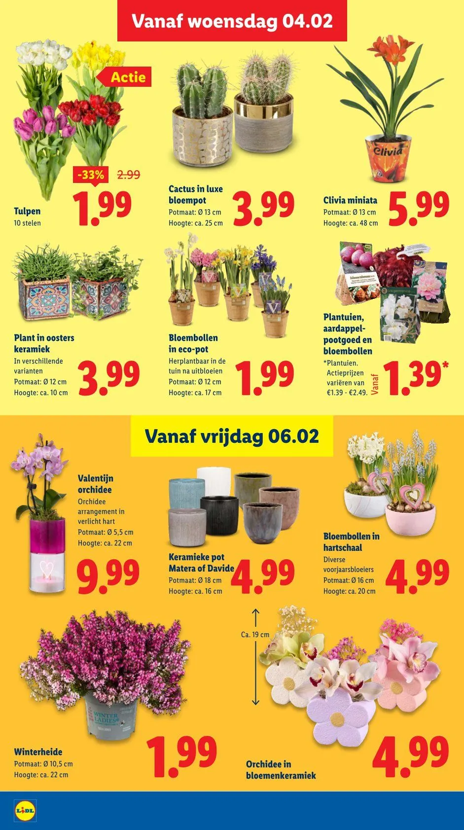 Lidl folders van 2 februari tot 8 februari 2026 - Folder pagina 17
