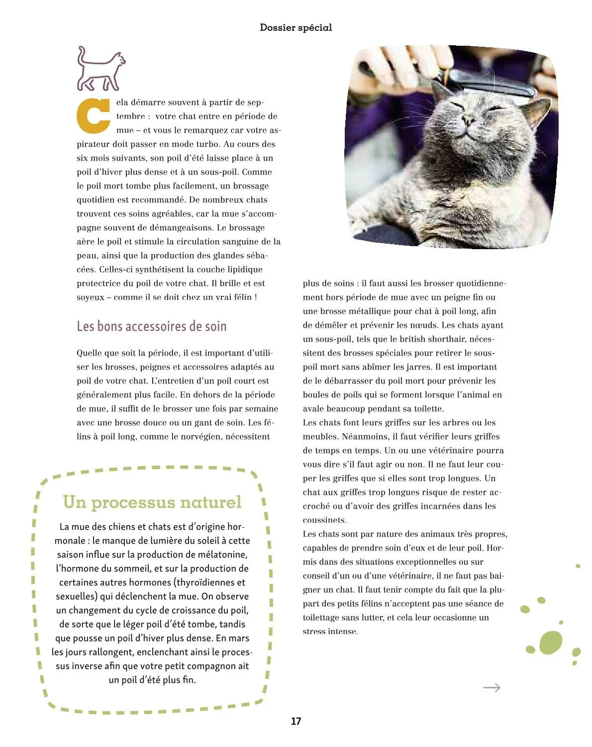 Maxi ZOO Catalogue du 23 décembre au 31 décembre 2025 - Catalogue page 17