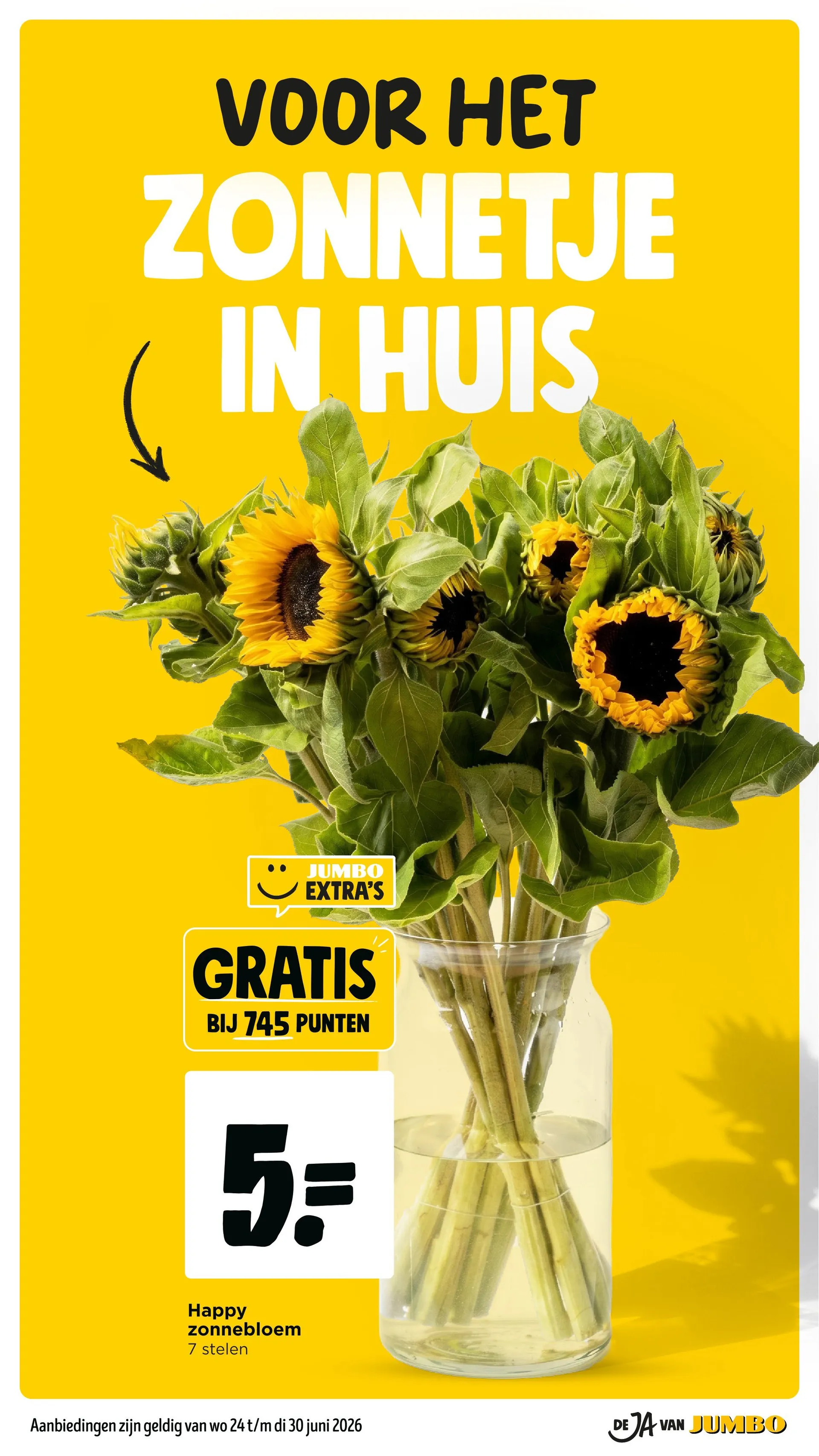 Jumbo folders van 24 juni tot 30 juni 2026 - folder pagina 16