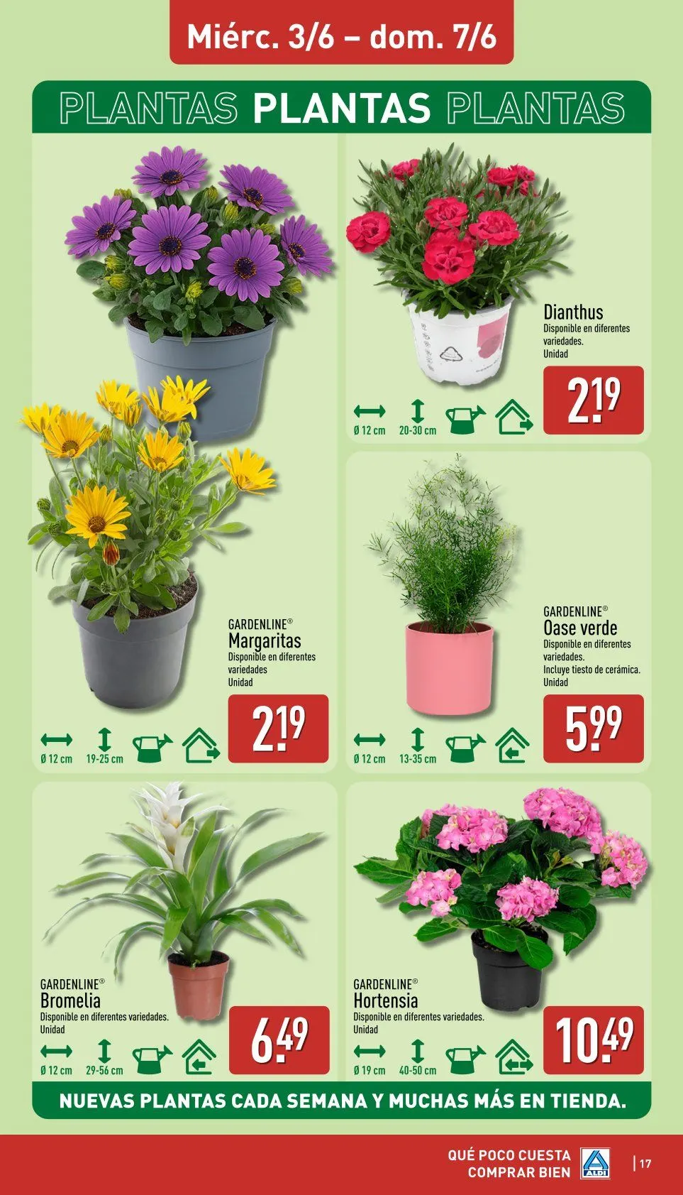Catálogo de Ofertas de Aldi 1 de junio al 7 de junio 2026 - Página 16