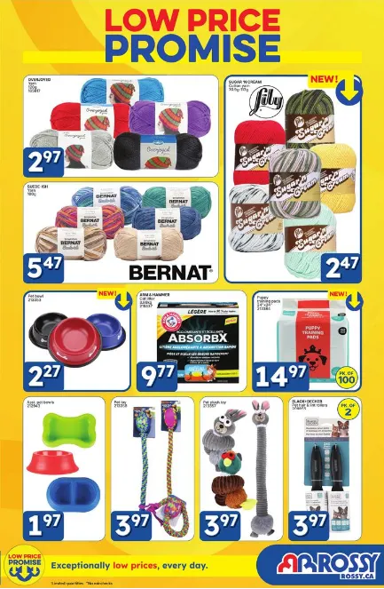 Rossy Sales from March 26 to April 29 2026 - flyer page 17