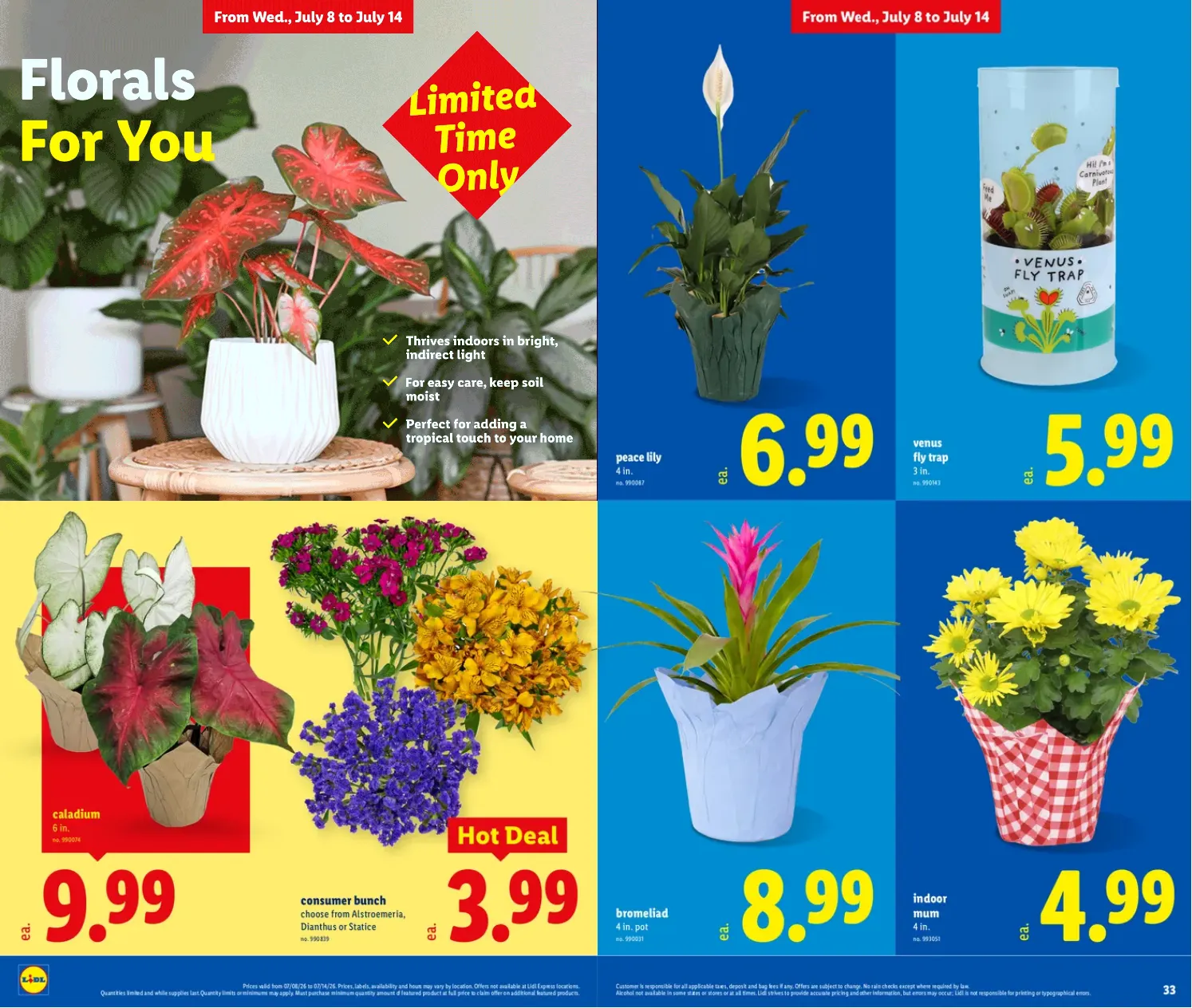 Weekly ad Lidl Sales from July 8 to July 14 2026 - Page 17