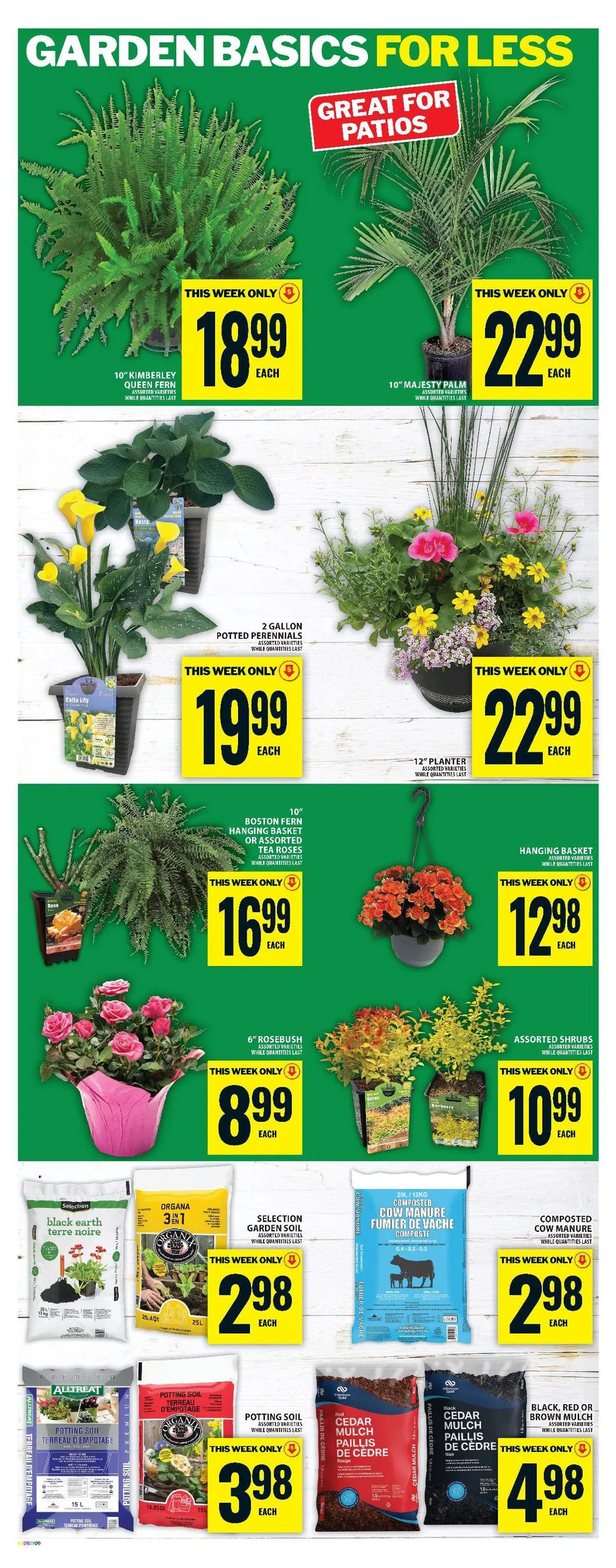  Food Basics Sales from May 28 to June 3 2026 - flyer page 17