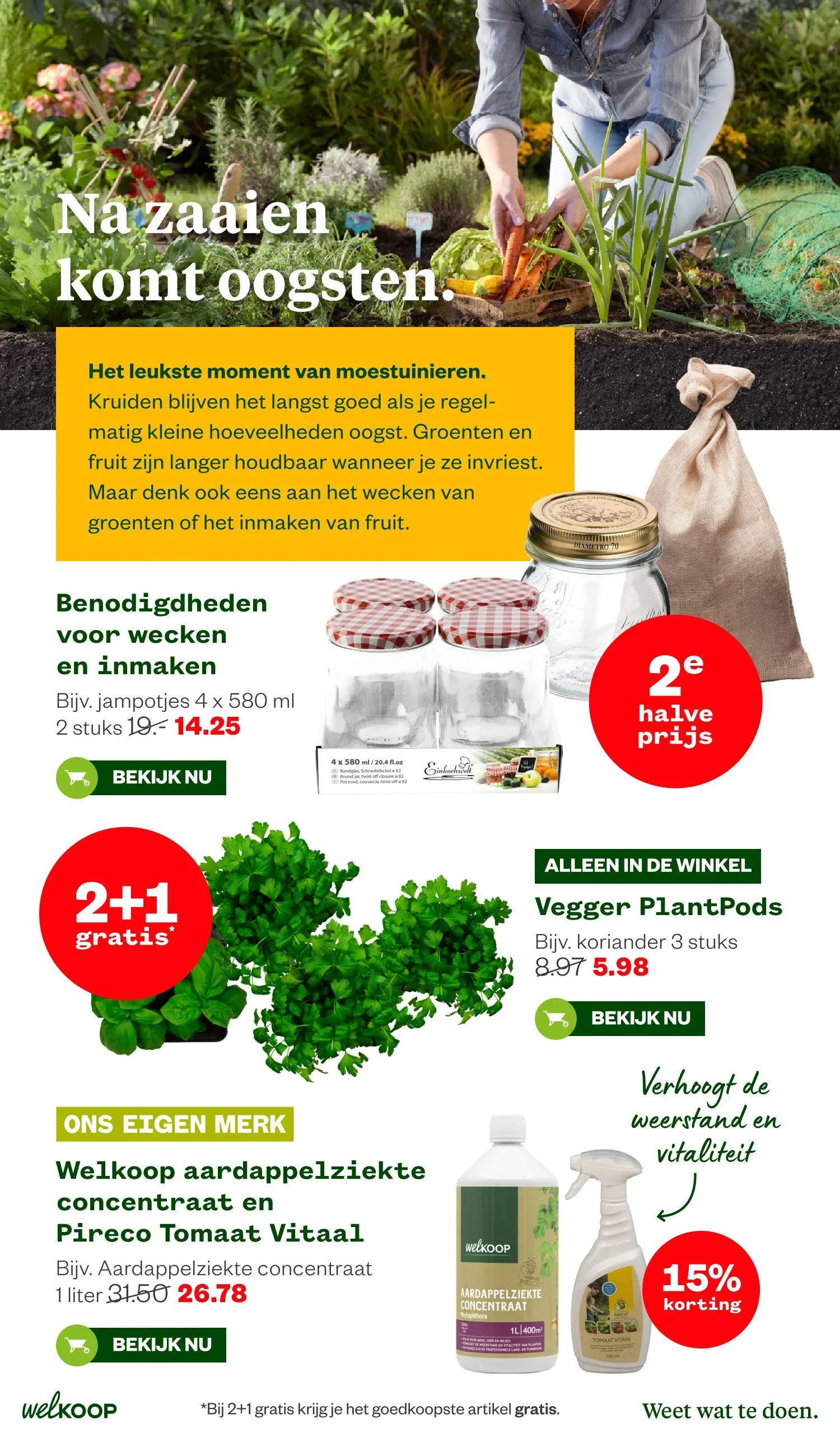 Welkoop foldersfolders van 6 juli tot 19 juli 2026 - Folder pagina 17