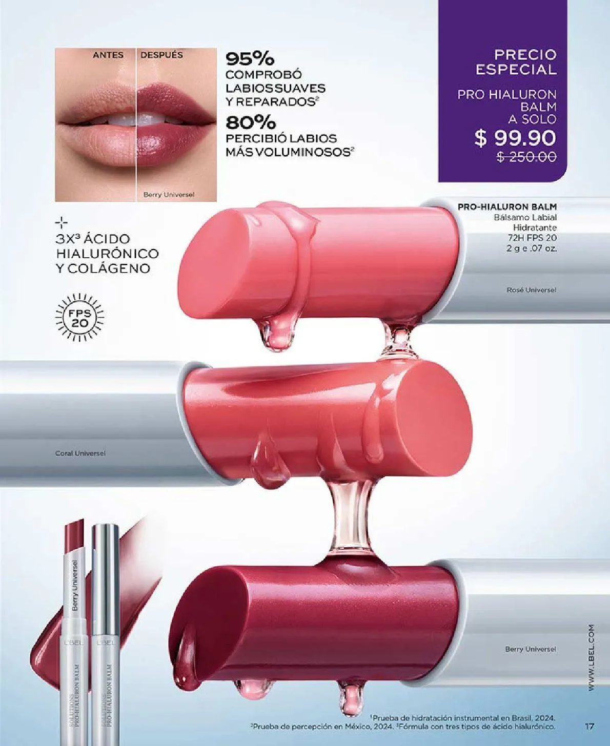 Catálogo de L'Bel catálogos y ofertas 8 de enero al 1 de febrero 2026 - Pagina 17
