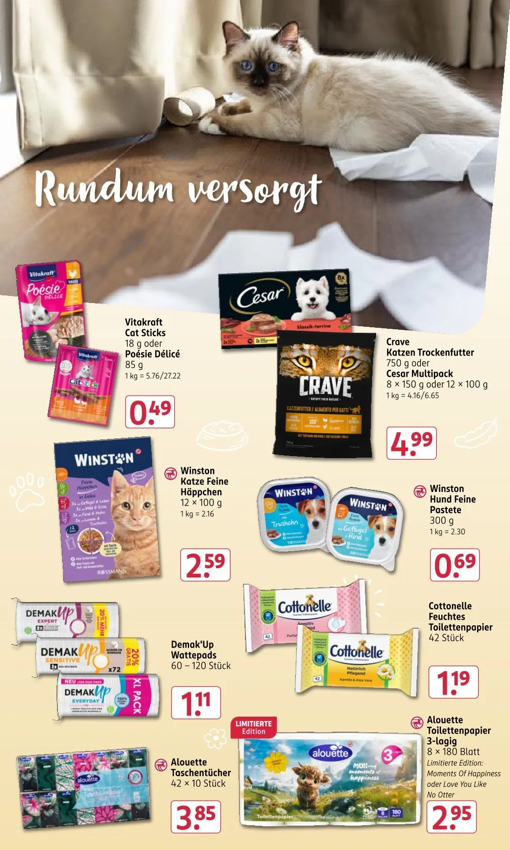 Rossmann Prospekte von 1. Juni bis 6. Juni 2026 - Prospekt seite 17