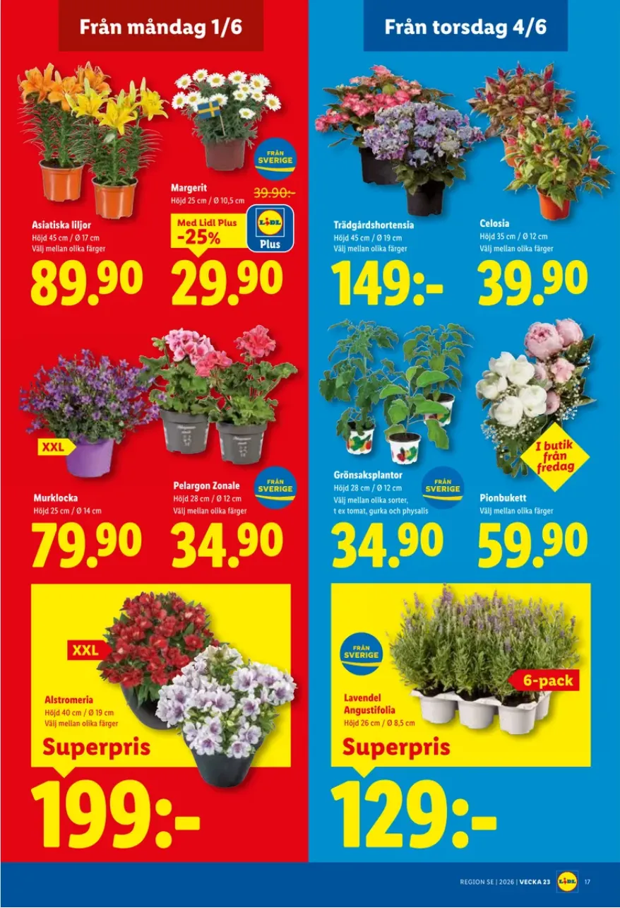 Lidl från 1 juni till 6 juni 2026 - Reklamblad sidor 17
