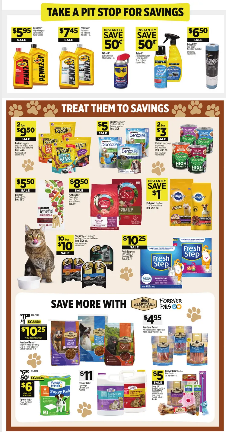 Weekly ad Dollar General Weekly Ad from April 17 to April 21 2025 - Page 16