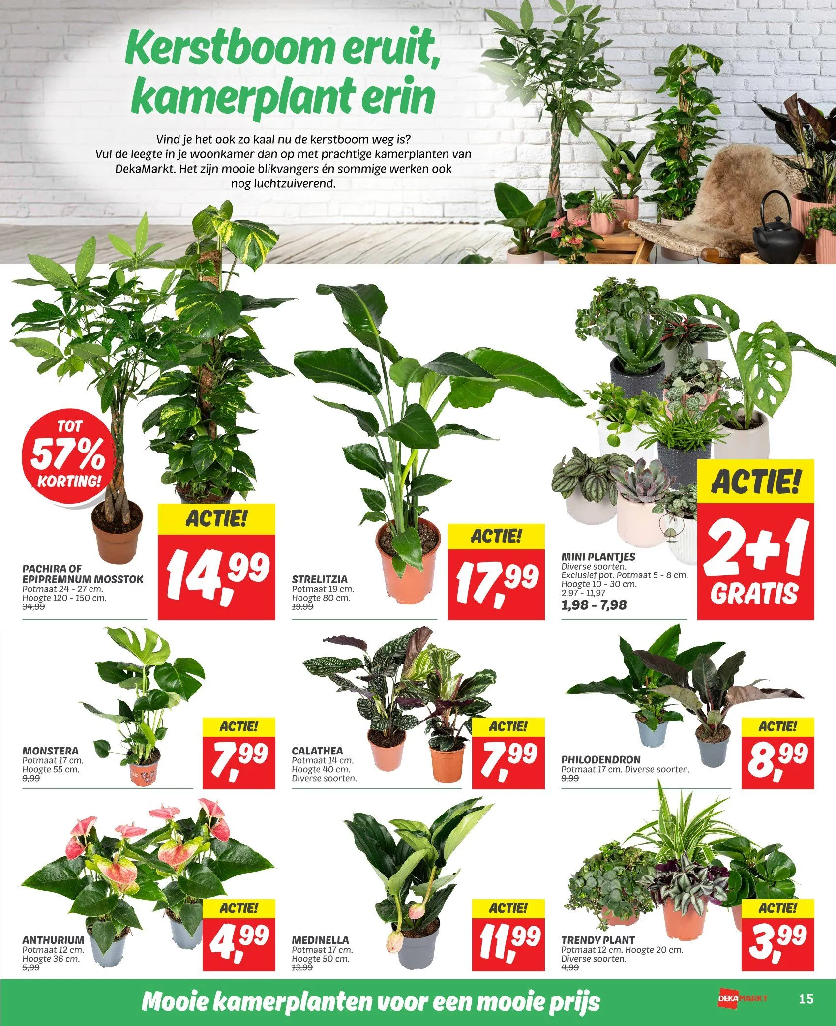 DekaMarkt Aanbiedingen van 7 januari tot 13 januari 2025 - Folder pagina 17