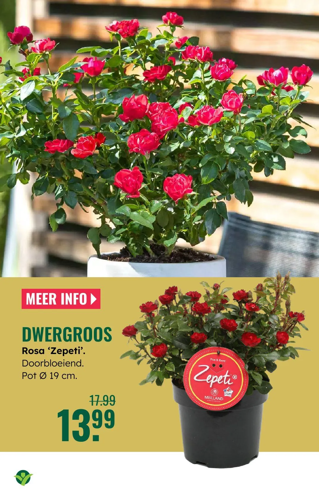  GroenRijk folders van 21 mei tot 27 mei 2026 - Folder pagina 17