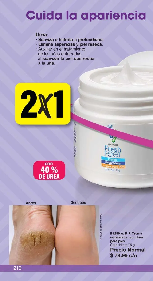 Catálogo de Arabela Catálogo 7 de marzo al 20 de marzo 2025 - Pagina 109