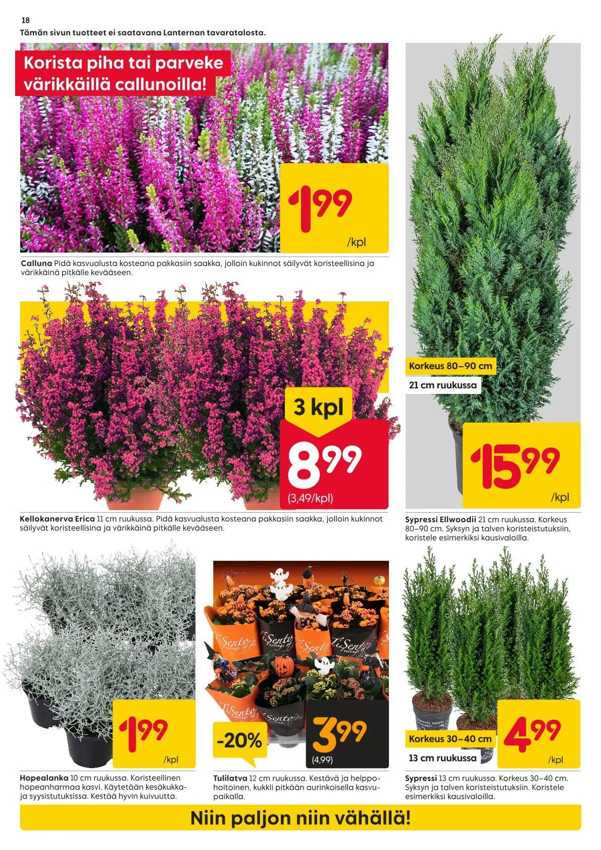 Kaupan Rusta uusimmat tarjoukset voimassa alkaen 27. lokakuuta - 2. marraskuuta 2025 - Tarjouslehti sivu 18