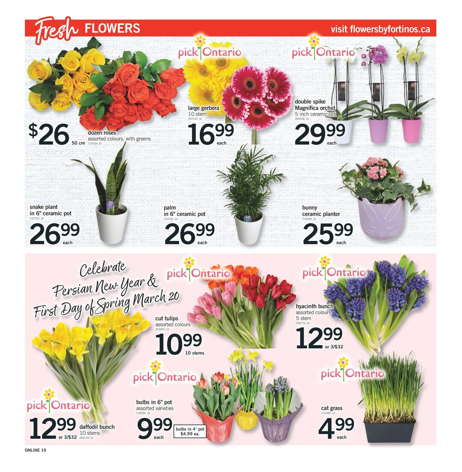 Fortinos Deals from March 20 to March 26 2025 - flyer page 18