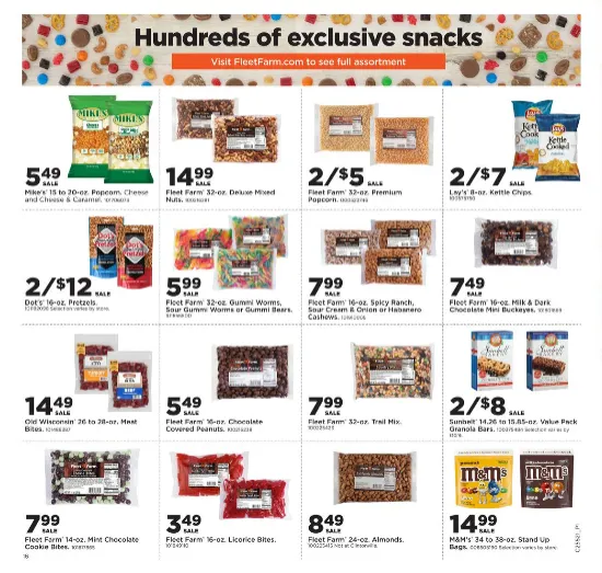 Weekly ad Fleet Farm Sales from December 25 to December 31 2025 - Page 18