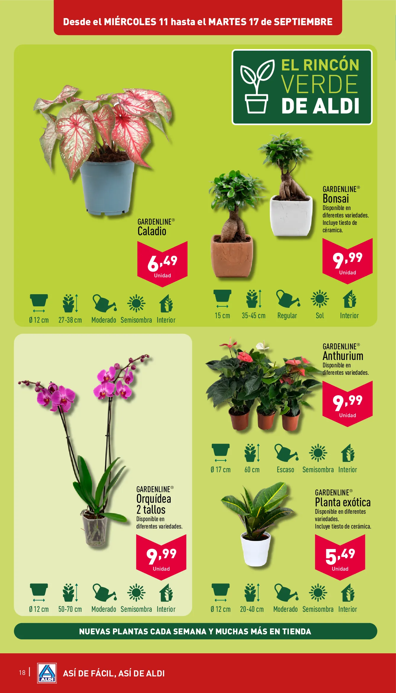 Catálogo de Aldi Ofertas 11 de septiembre al 17 de septiembre 2024 - Página 18