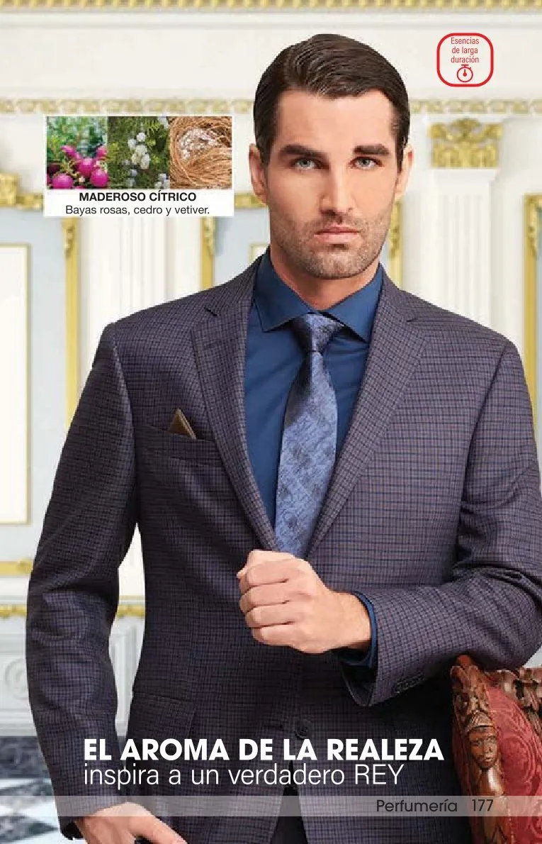 Catálogo de Arabela Ofertas 17 de abril al 30 de abril 2026 - Pagina 181