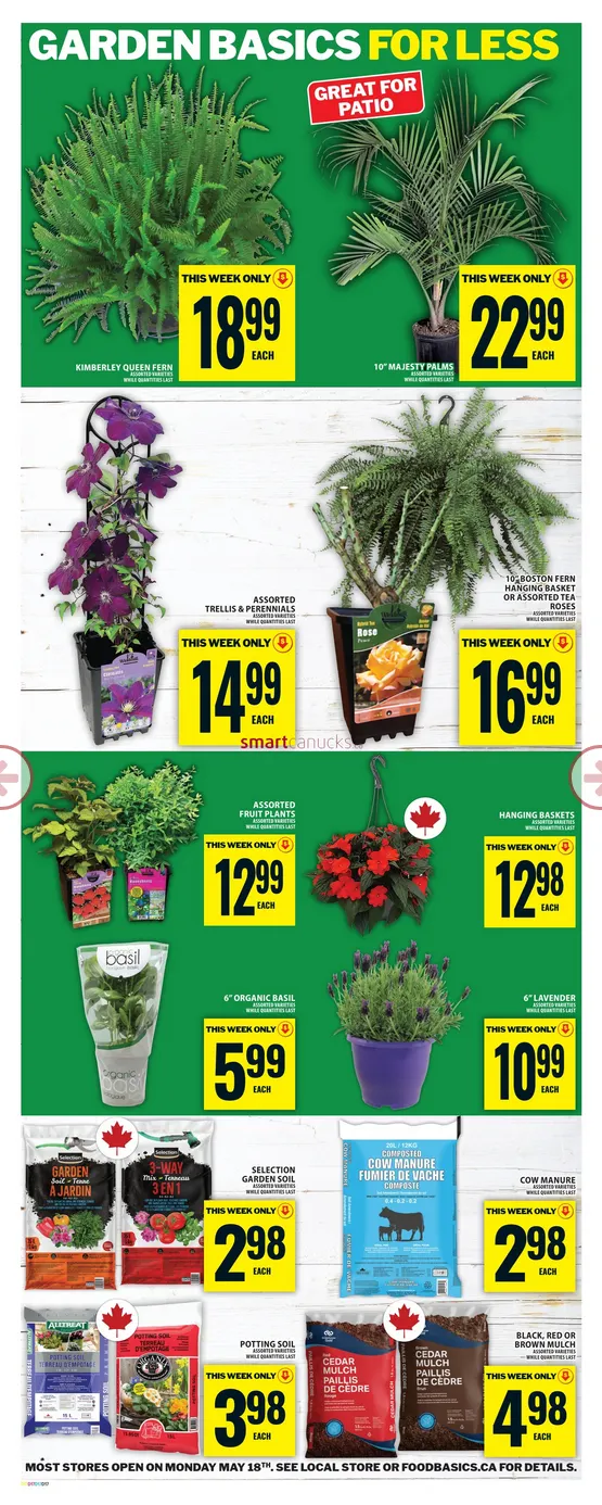 Food Basics Sales from May 14 to May 20 2026 - flyer page 19