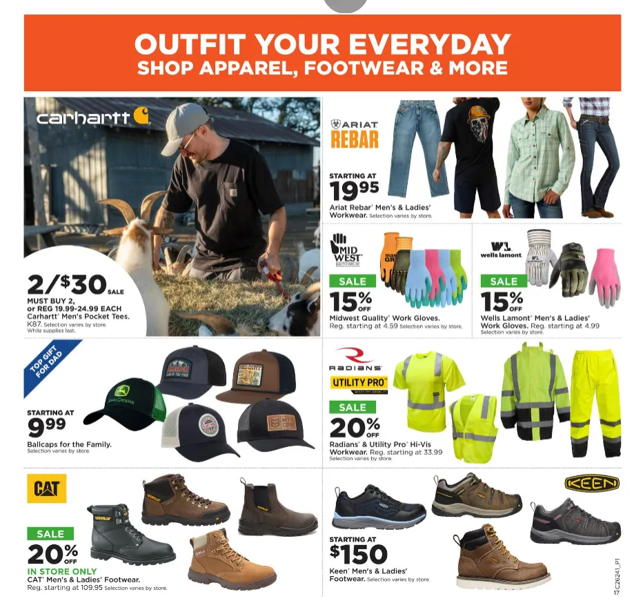Weekly ad Fleet Farm Sales from June 8 to June 14 2026 - Page 18