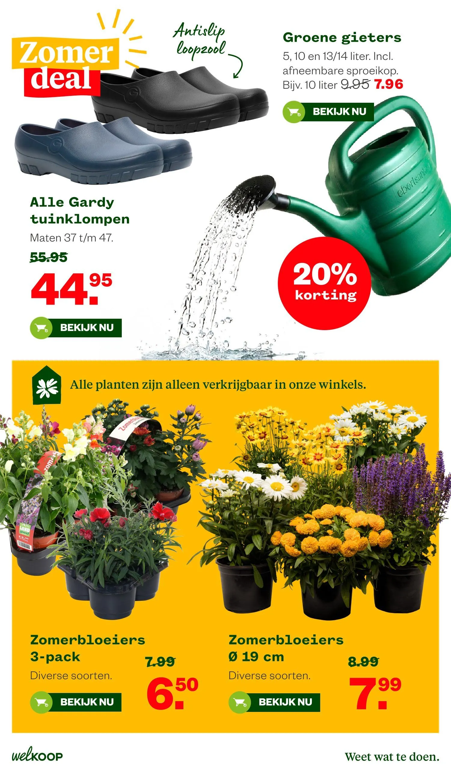 Welkoop foldersfolders van 6 juli tot 19 juli 2026 - Folder pagina 19