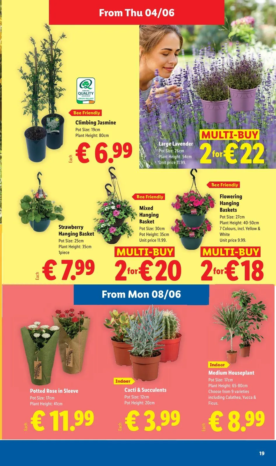  Lidl weekly ads - 4 June 10 June 2026 - Page 19