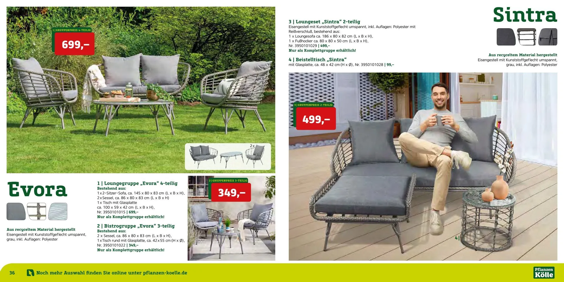 Prospekt Pflanzen-Kölle von 12. August bis 7. September 2025 - Prospekt seite 19