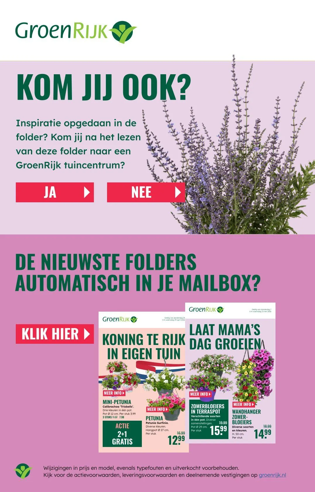  GroenRijk folders van 21 mei tot 27 mei 2026 - Folder pagina 19