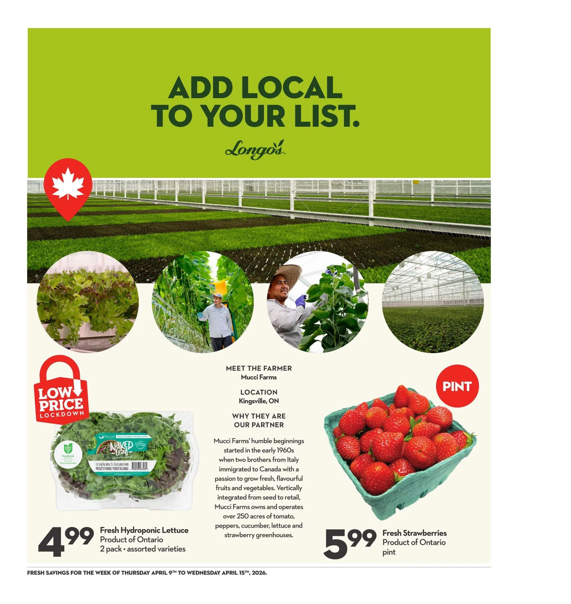 Longo's weekly ads from April 9 to April 15 2026 - flyer page 19