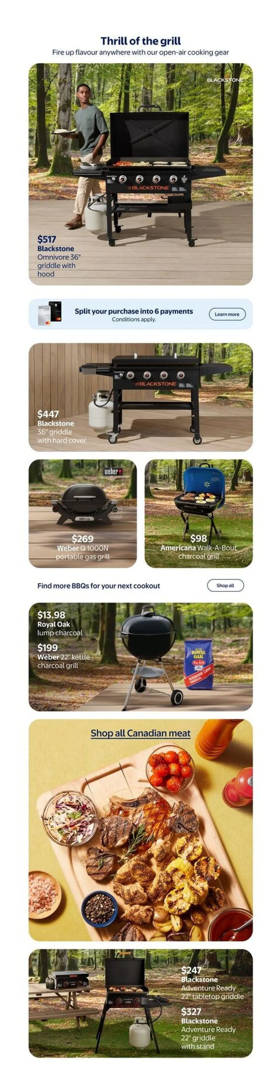 Walmart Sales from May 13 to May 19 2026 - flyer page 19