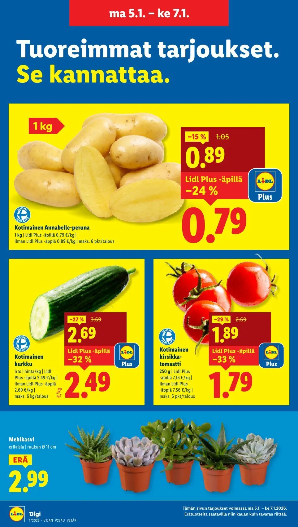 Kaupan Lidl tarjoukset voimassa alkaen 1. tammikuuta - 4. tammikuuta 2026 - Tarjouslehti sivu 19