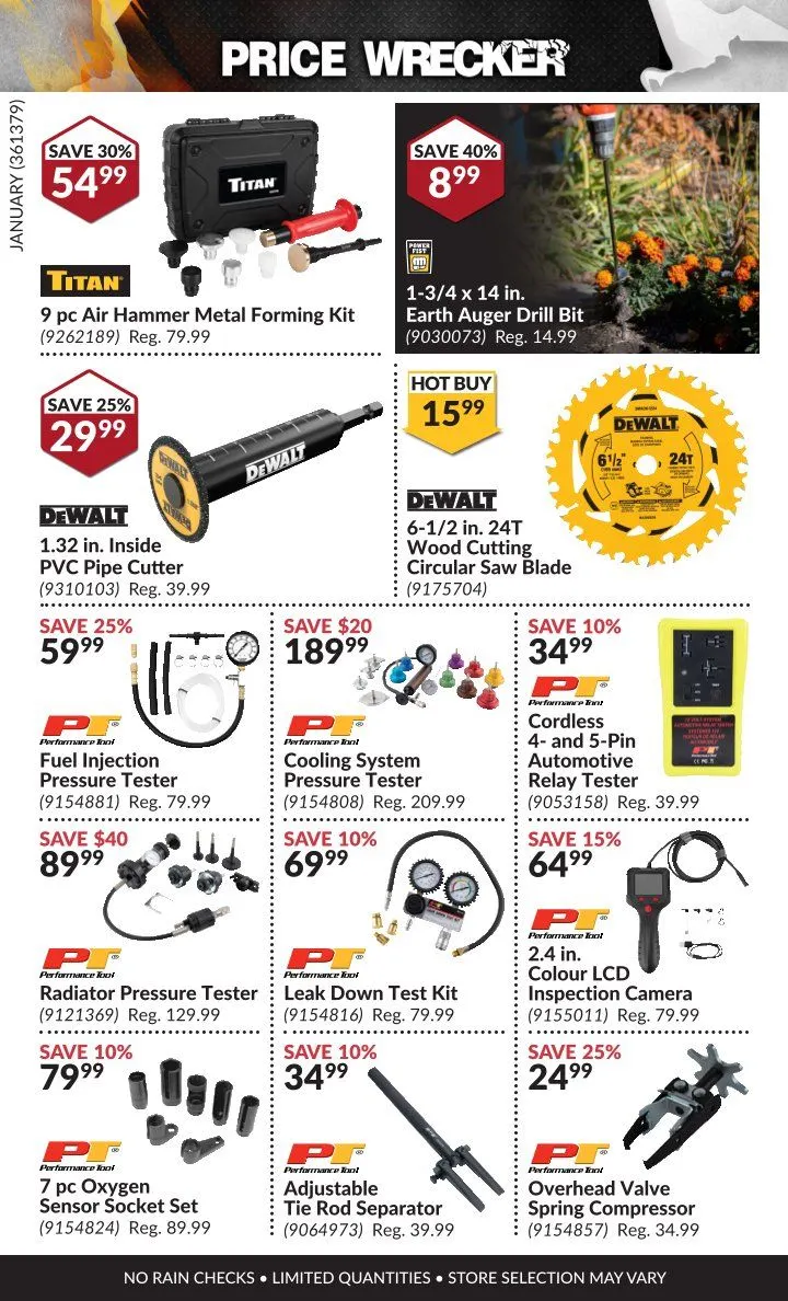 Princess Auto Sales from February 1 to January 31 2025 - flyer page 19