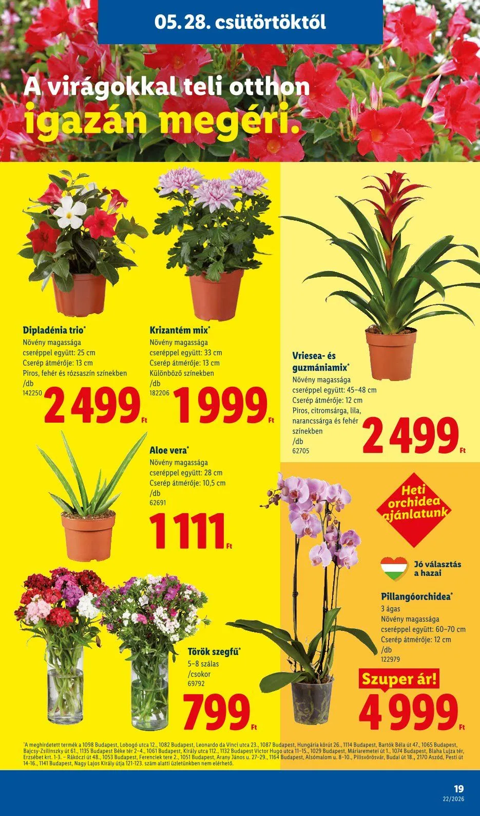 Katalógus Lidl legfrissebb május 28.-tól június 3.-ig 2026. - Oldal 19