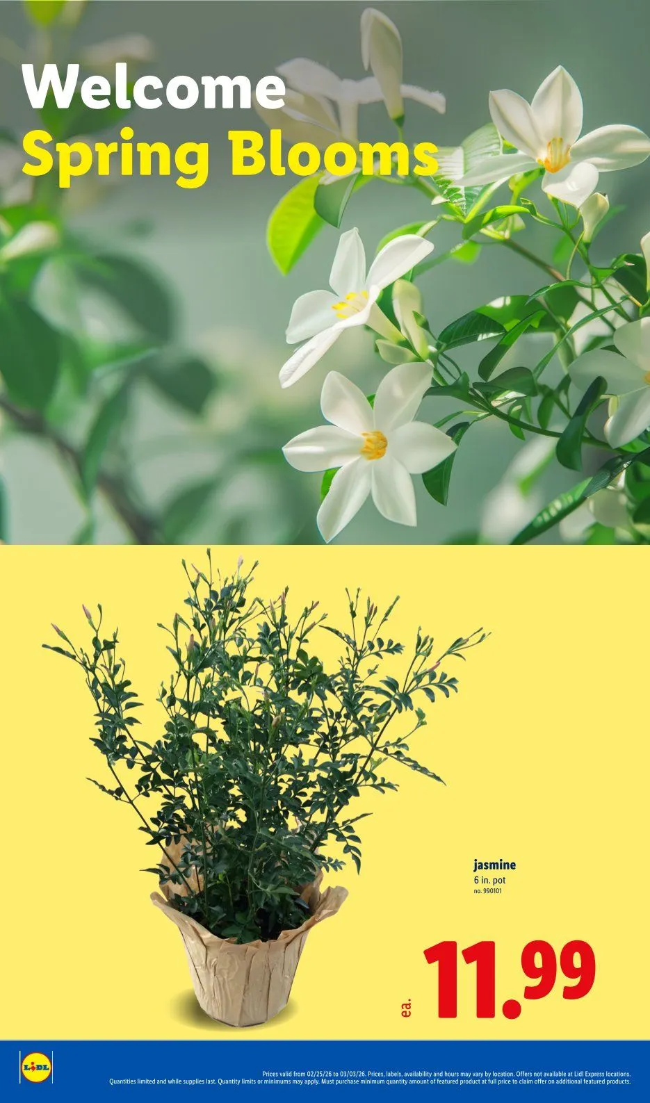 Offers & Leaflets - 25 February 3 March 2026 - Page 20