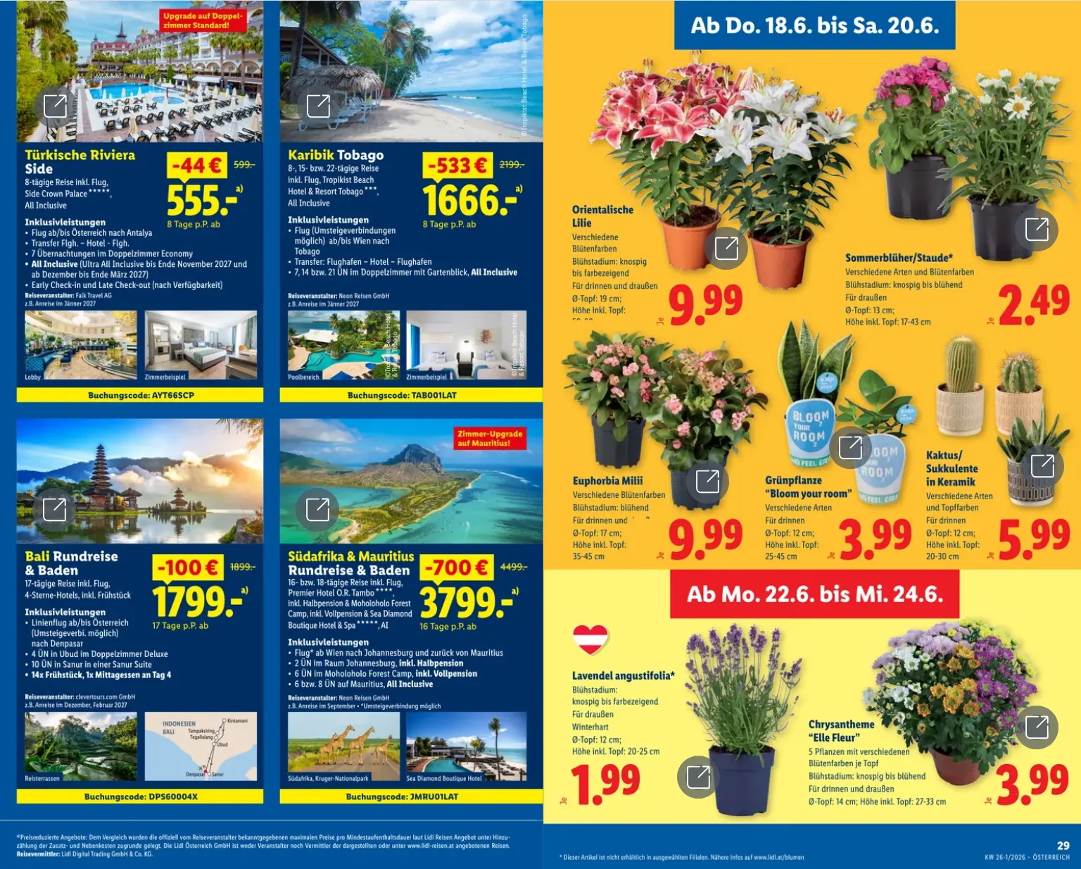  Lidl Prospekte von 18. Juni bis 20. Juni 2026 - Flugblätt seite  20