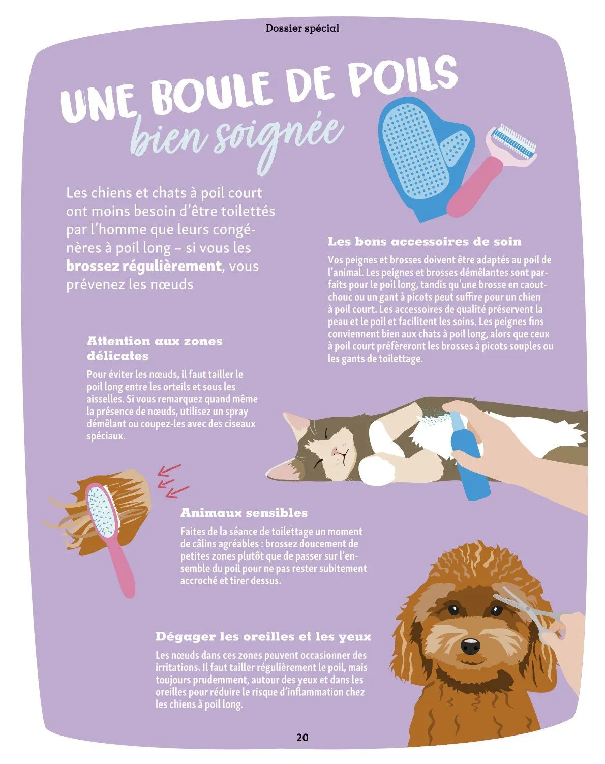 Maxi ZOO Catalogue du 23 décembre au 31 décembre 2025 - Catalogue page 20