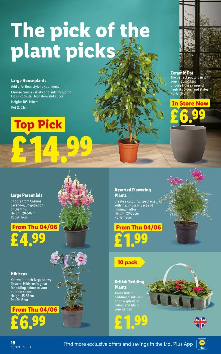 Lidl Catalogues from 4 June to 10 June 2026 - Catalogue Page 20